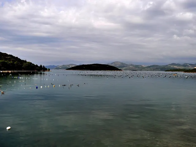 Pelješac Grand Cru Scenic Drive